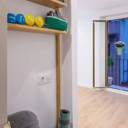 The Light Apartment *